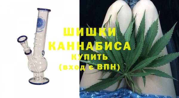 сатива Арсеньев
