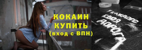 сатива Арсеньев