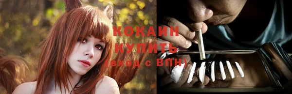сатива Арсеньев