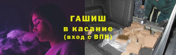 сатива Арсеньев